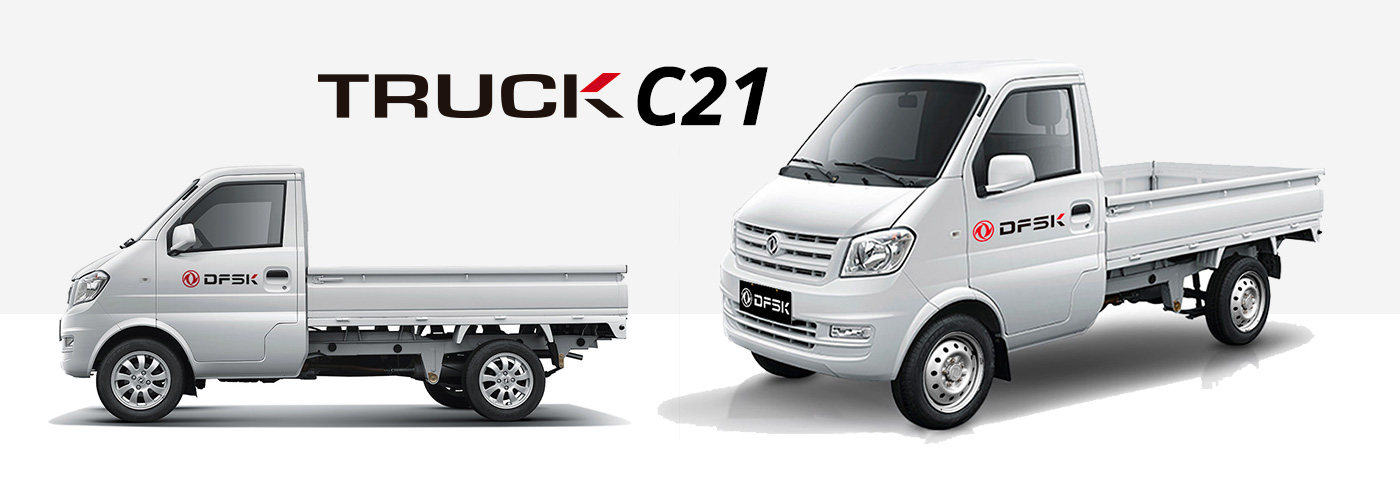 Truck Cabina Simple C21